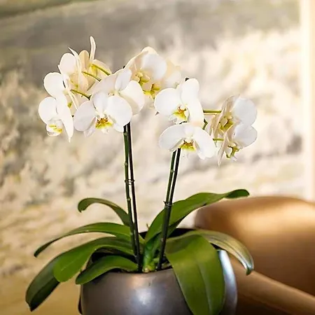 Pommernland Szálloda Anklam